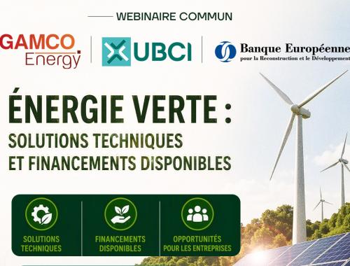 Webinaire TAA – Énergie verte : solutions techniques & financements disponibles